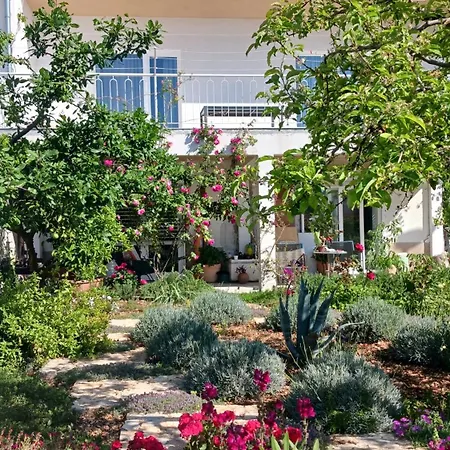 Apartman Neptun